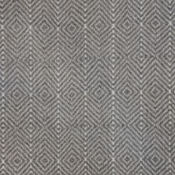 Fossil Grey
